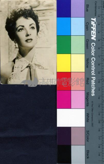 伊莉莎白泰勒藏品圖，第1張