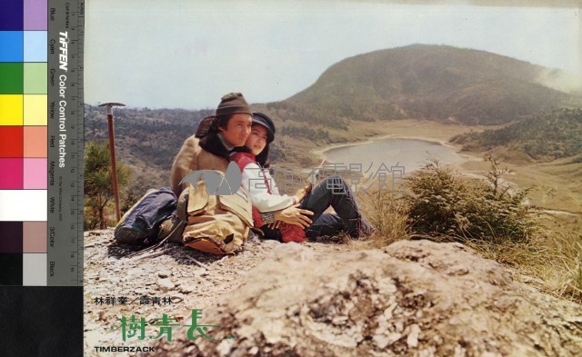 長青樹(彩色)藏品圖，第1張