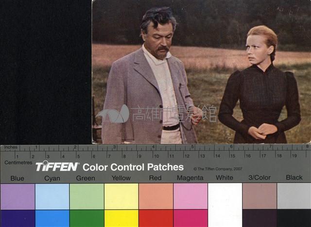 Чайка藏品圖，第1張