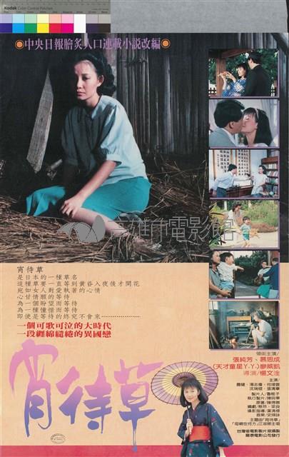 宵待草藏品圖，第1張