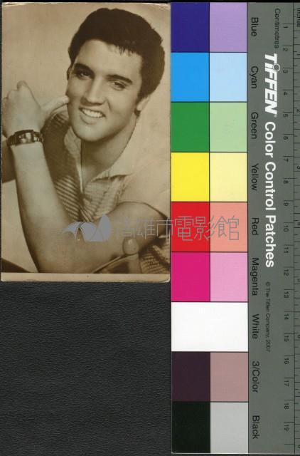 貓王藏品圖，第1張