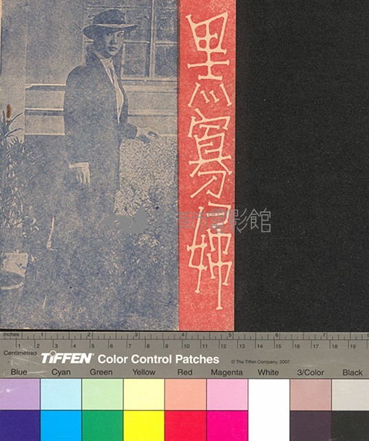 黑寡婦藏品圖，第2張