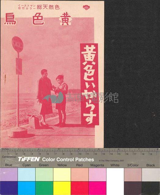 黃色鳥藏品圖，第2張