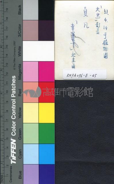 夏凡藏品圖，第2張