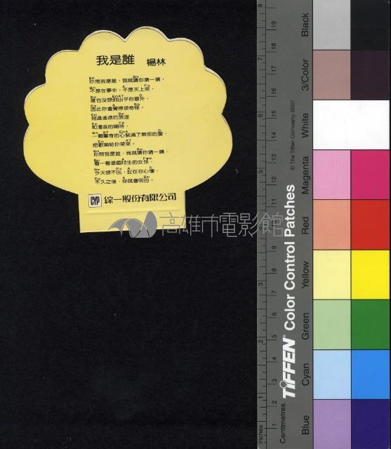 楊林藏品圖，第2張