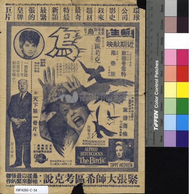 鳥藏品圖，第2張