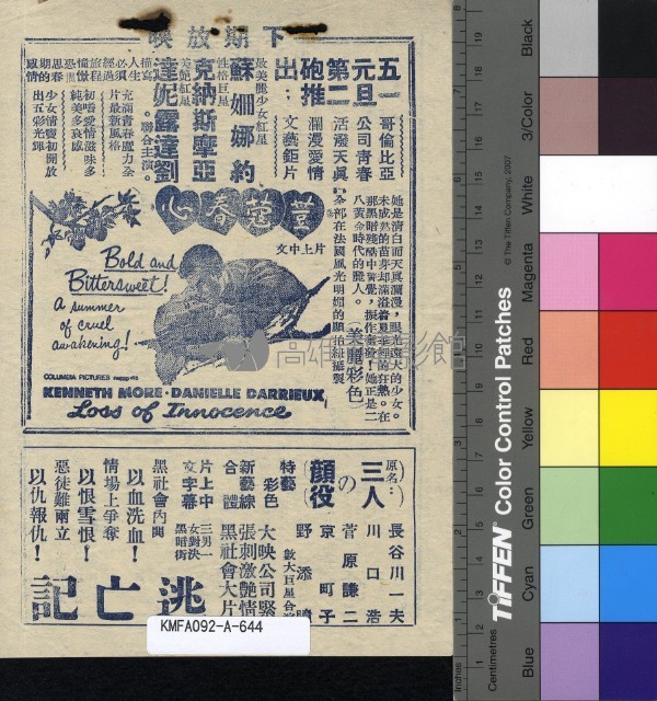 金魚缸裡的愛情藏品圖，第2張