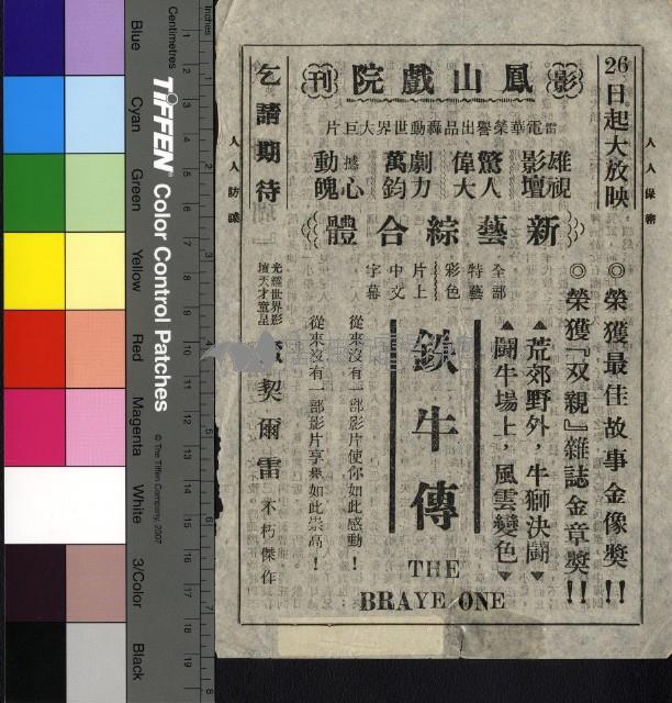 珊瑚藏品圖，第2張