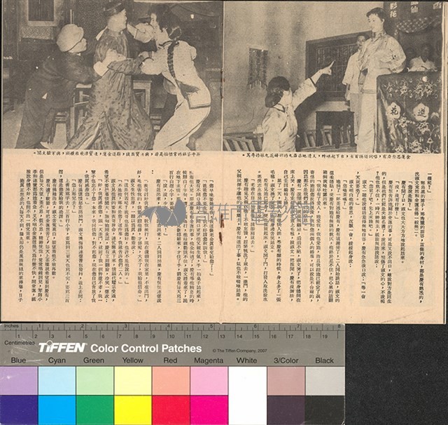 金蓮花藏品圖，第12張