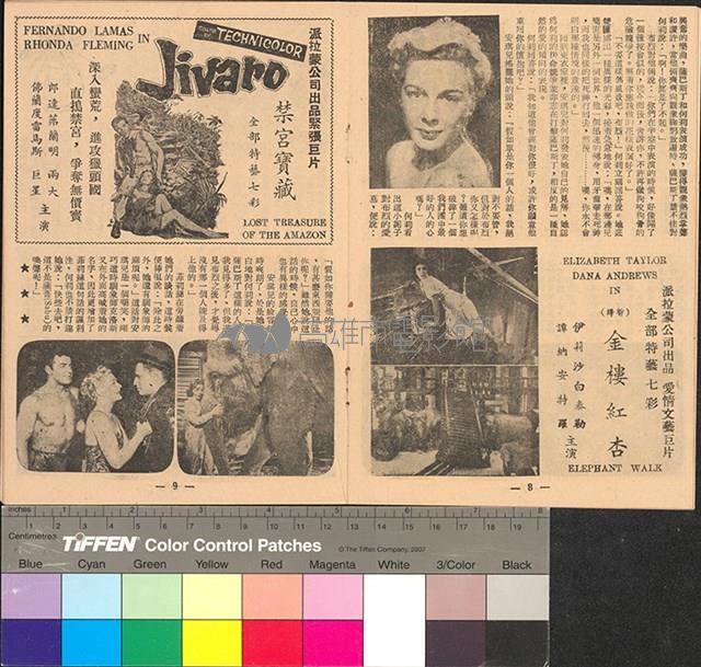 戲王之王藏品圖，第6張