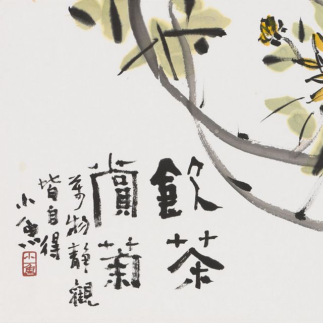 飲茶賞菊的圖片