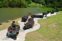 Having Fun with the Cattle Collection Image, Figure 1, Total 4 Figures