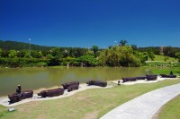 Having Fun with the Cattle Collection Image, Figure 2, Total 4 Figures