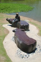 Having Fun with the Cattle Collection Image, Figure 4, Total 4 Figures