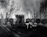 生－電子花車的圖片