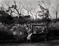 生－豬肉攤藏品圖，第1張