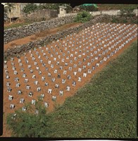 集會•家庭遊行－澎湖田的圖片