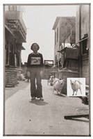 四季遊蹤－小白！小白！的圖片