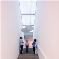 一些關於水生生物聲音與呼吸的故事藏品圖，第1張