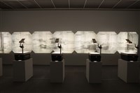 Gevær（來福槍）藏品圖，第2張