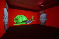 Important_message.mp4藏品圖，第1張