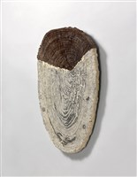 皺紋藏品圖，第2張