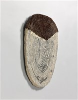 皺紋藏品圖，第3張