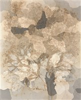 植物史-5藏品圖，第1張