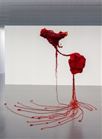 生命軸藏品圖，第1張