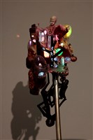 Tumbleweed藏品圖，第1張
