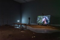 山羌模仿術藏品圖，第1張