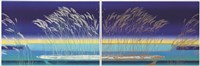 甜根子草藏品圖，第1張