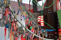 Dio 駱駝藏品圖，第3張