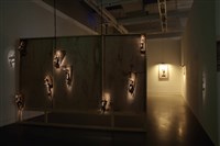 在海拔2000公尺震動—啄木鳥群震藏品圖，第1張