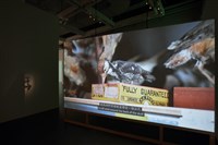 在海拔2000公尺震動—啄木鳥群震藏品圖，第2張