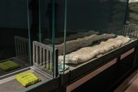 什麼都不重要的日子──系列藏品圖，第5張