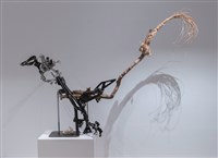 展翅的圖片