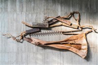 自然與工業文明的辯證的圖片