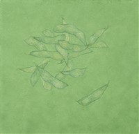 日常採集-毛豆的圖片