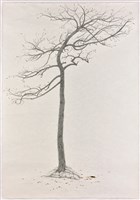 犧牲樹 後傳藏品圖，第2張