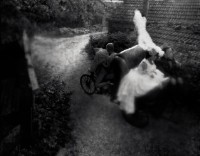 生－侏儒的婚禮的圖片