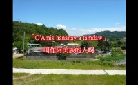 部落抗爭影音卡拉OK的圖片