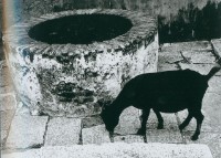 井藏品圖，第1張