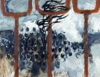 風走種子94的圖片