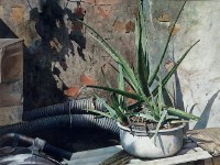 靜默之中的圖片