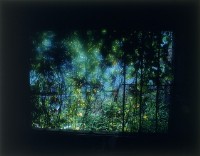 殘窗春意藏品圖，第1張