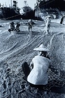 補網藏品圖，第1張