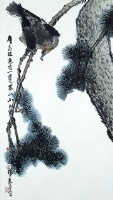 松鷹圖的圖片