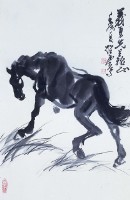 馬的圖片