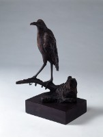 水鳥藏品圖，第1張